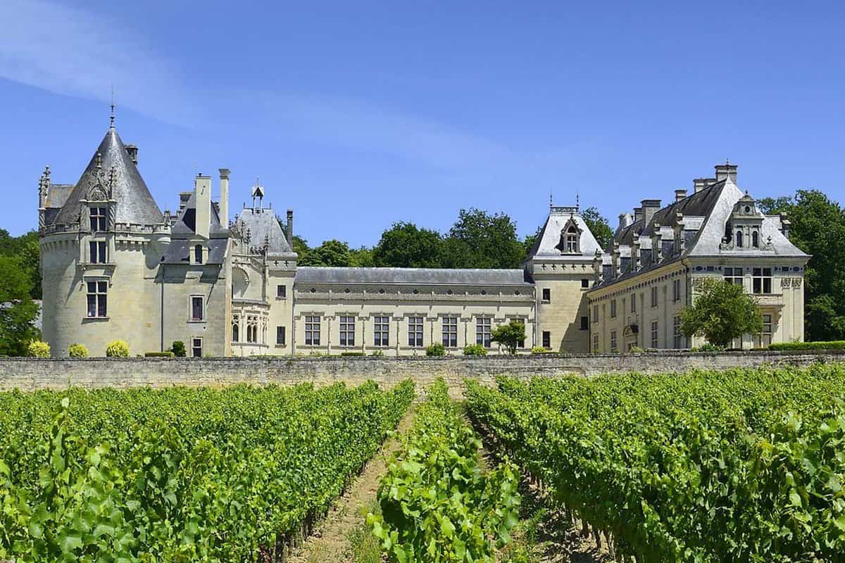 Landscape view of Chateau de Breze on a blue summer's day with the vineyard at the front field of the chateau