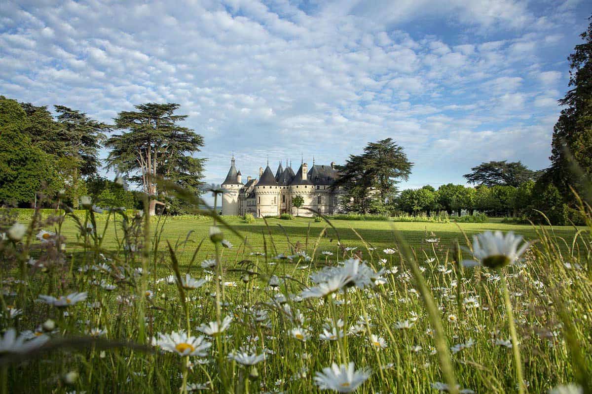 view across garden to Chateau Chaumont in the distance