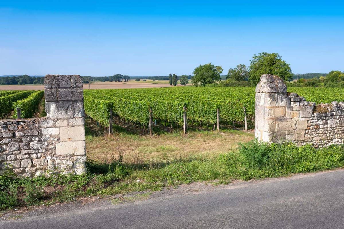 Blue summer sky over vineyards and old stone walls in Parc Naturel Loire-Anjou-Touraine