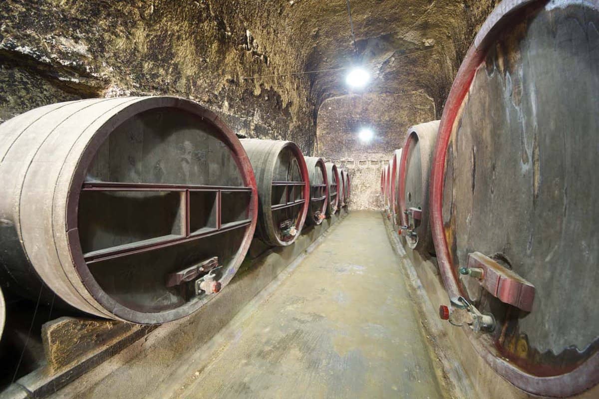 An underground wine cellar with a dozen large wine barrels