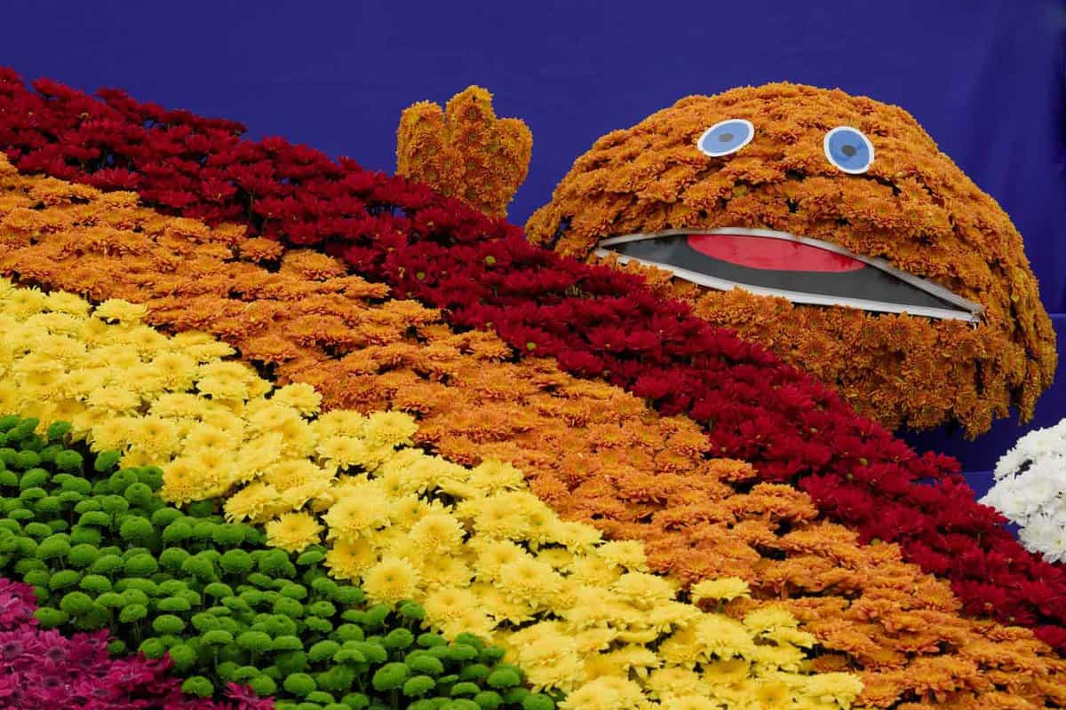 Close up of a rainbow flower arrangement with cartoon character made from flowers behind it