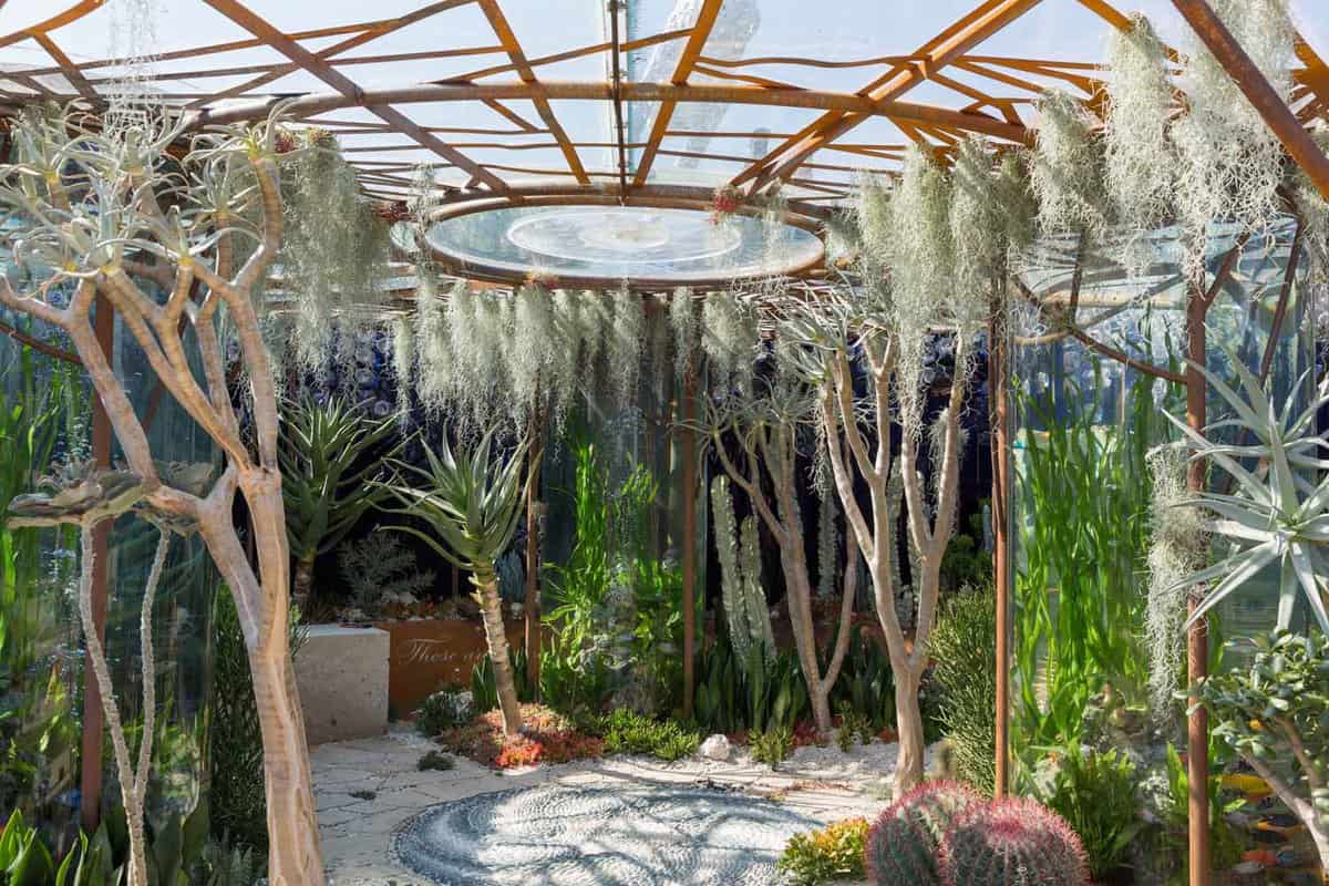 Modern garden design with cacti and a glass disk in the roof