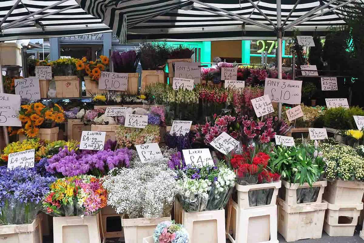 Stalls of flowers at the Columbia Road Flower Market
