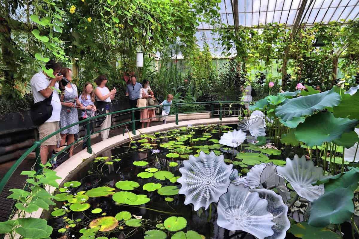 People viewing an indoor pond during the daytime