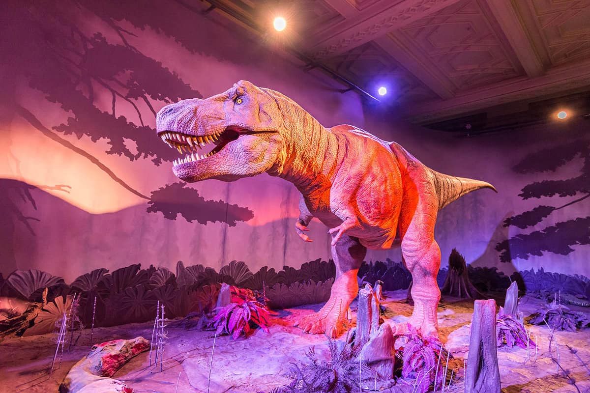 An exhibit of the infamous Tyrannosaurus Rex