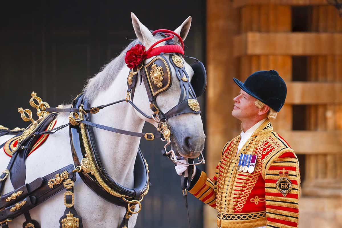 A royal horse with it's rider during the daytime