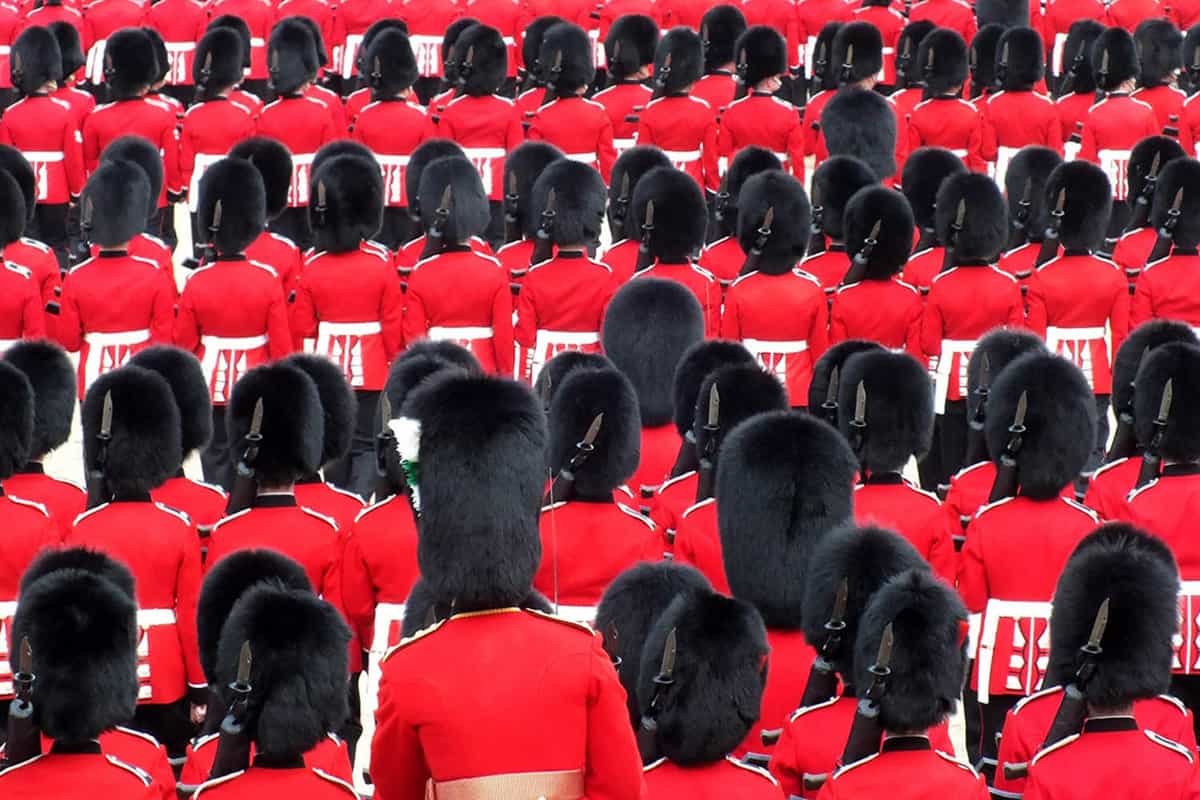 Rear view of dozens of soldiers heads, dressed in the red uniforms with black furry hats