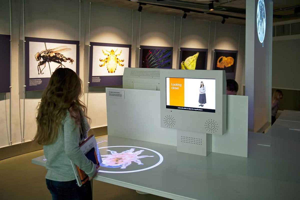 Interior insect gallery with a woman looking at a multi-media exhibit