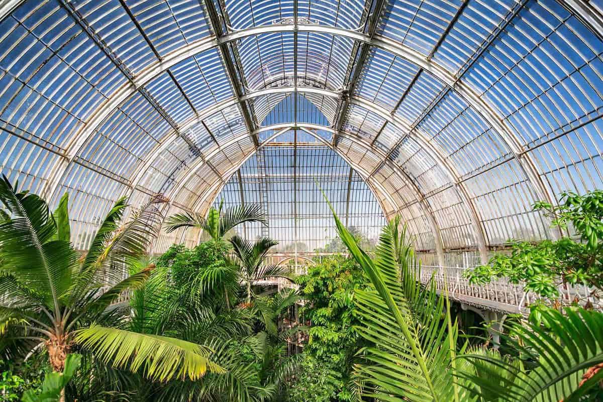 Inside the large glass atrium, filled with trees