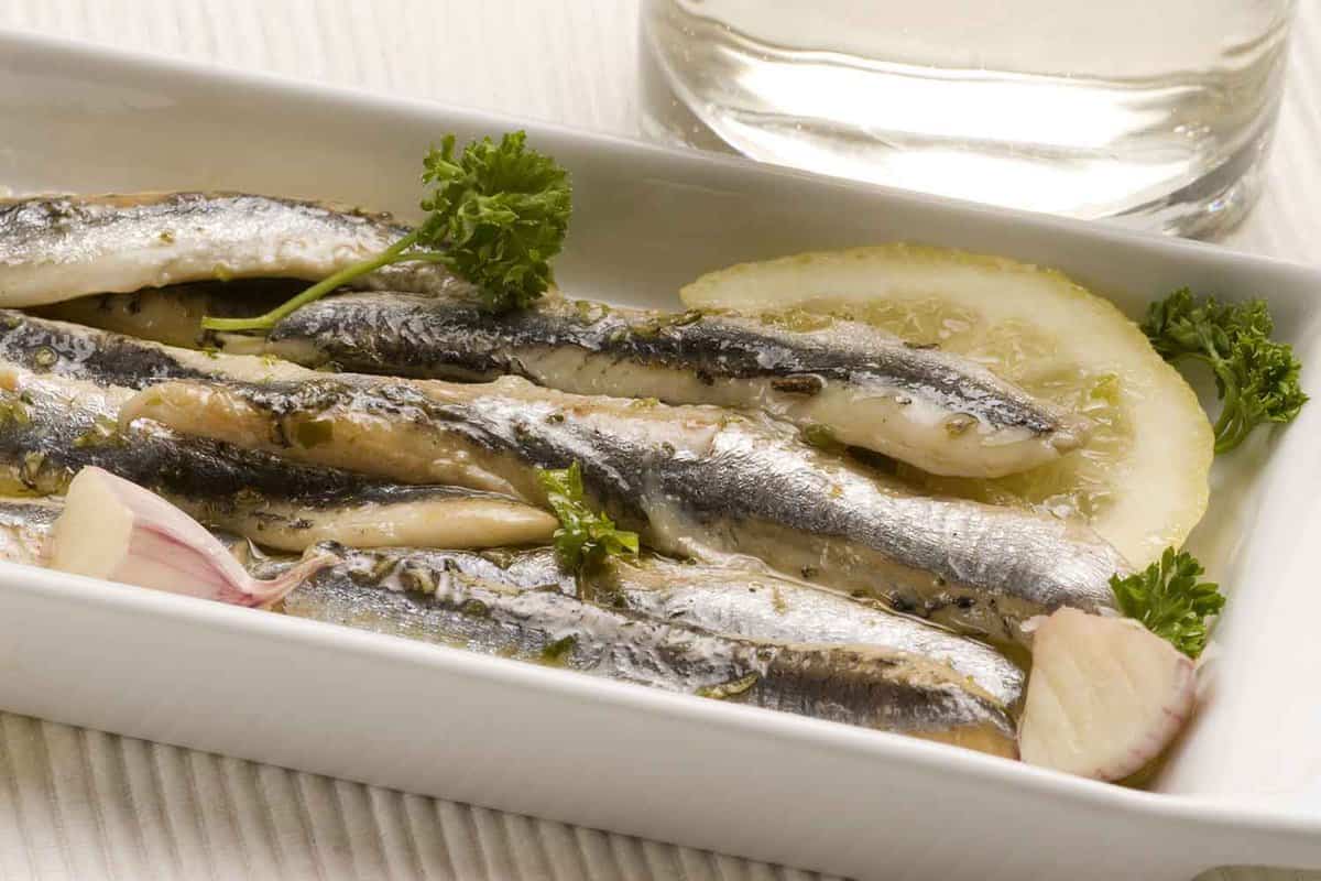 Marinated fresh anchovies on a white plate.