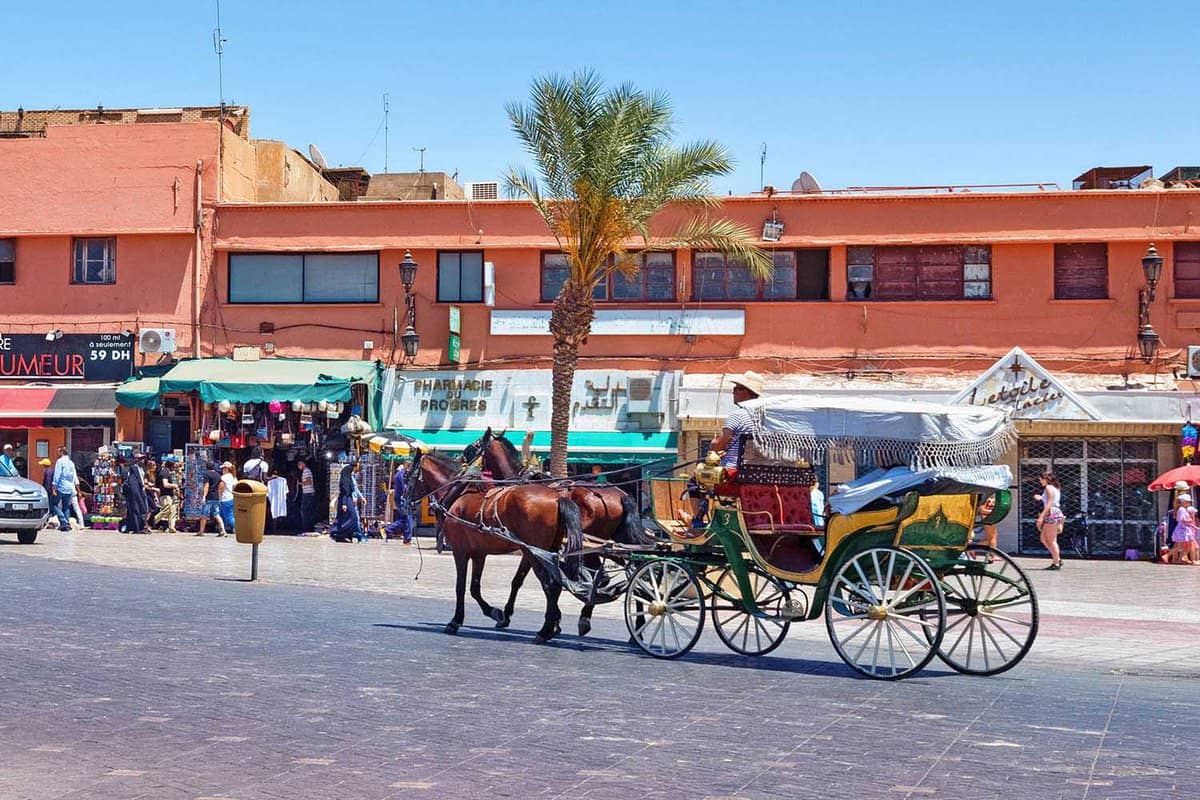 Horse drawn cart on Moroccan street with buildings and a palm tree in the background
