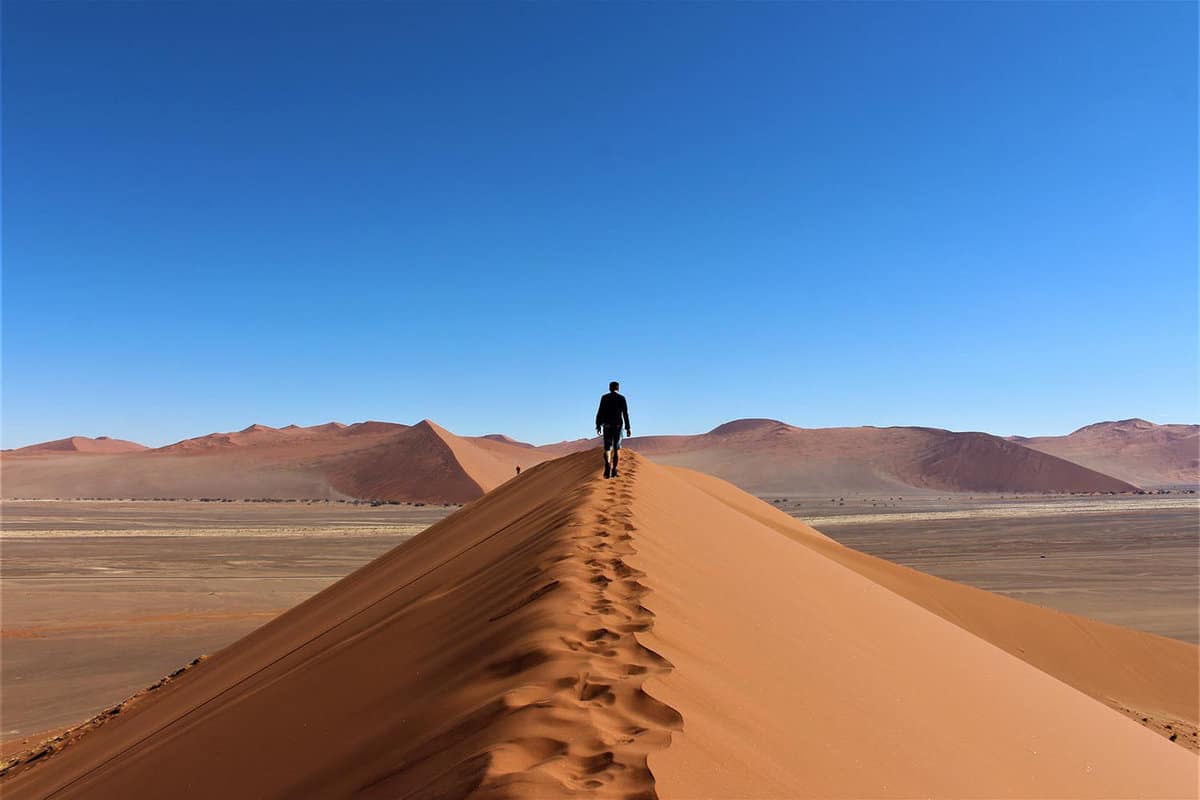 A single person walking a sand track on the summit of a dune