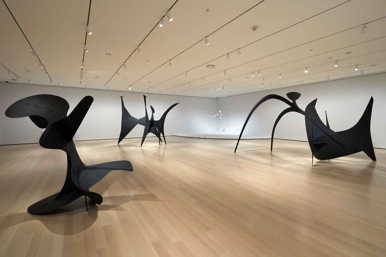Museum of Modern Art (MoMA)