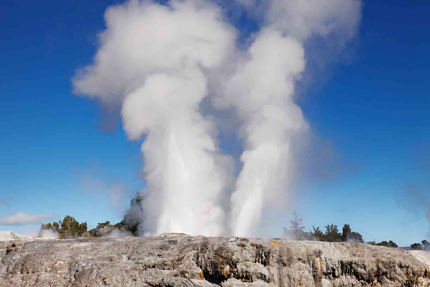 Pohutu Geyser
