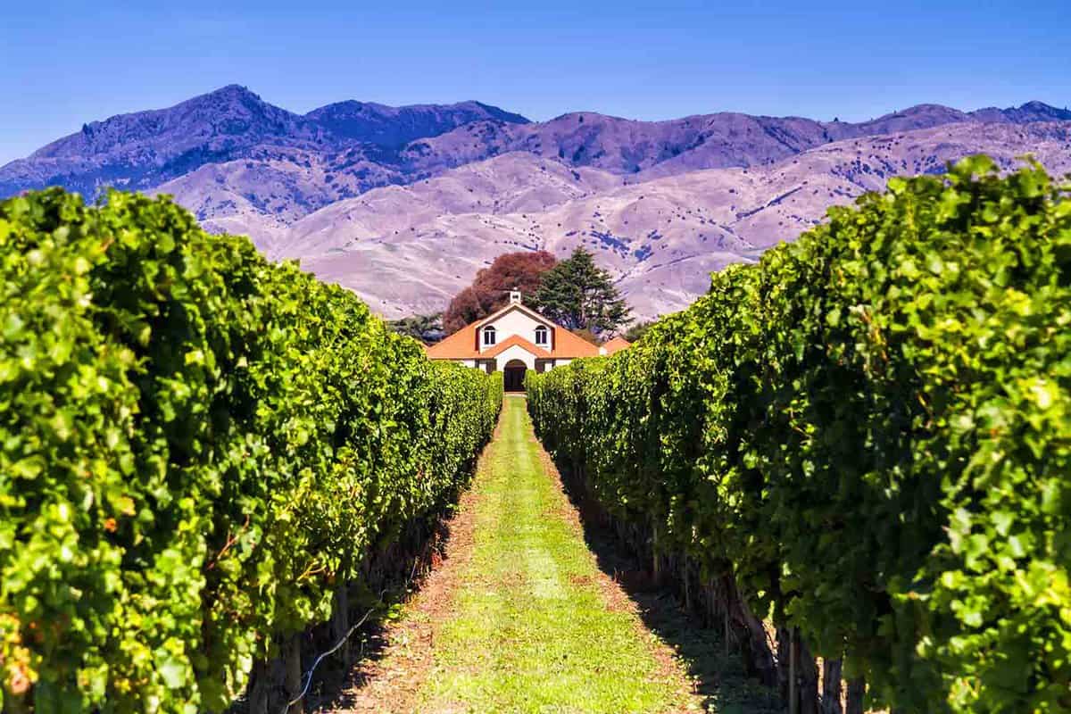 Marlborough cellar door, New Zealand Wine