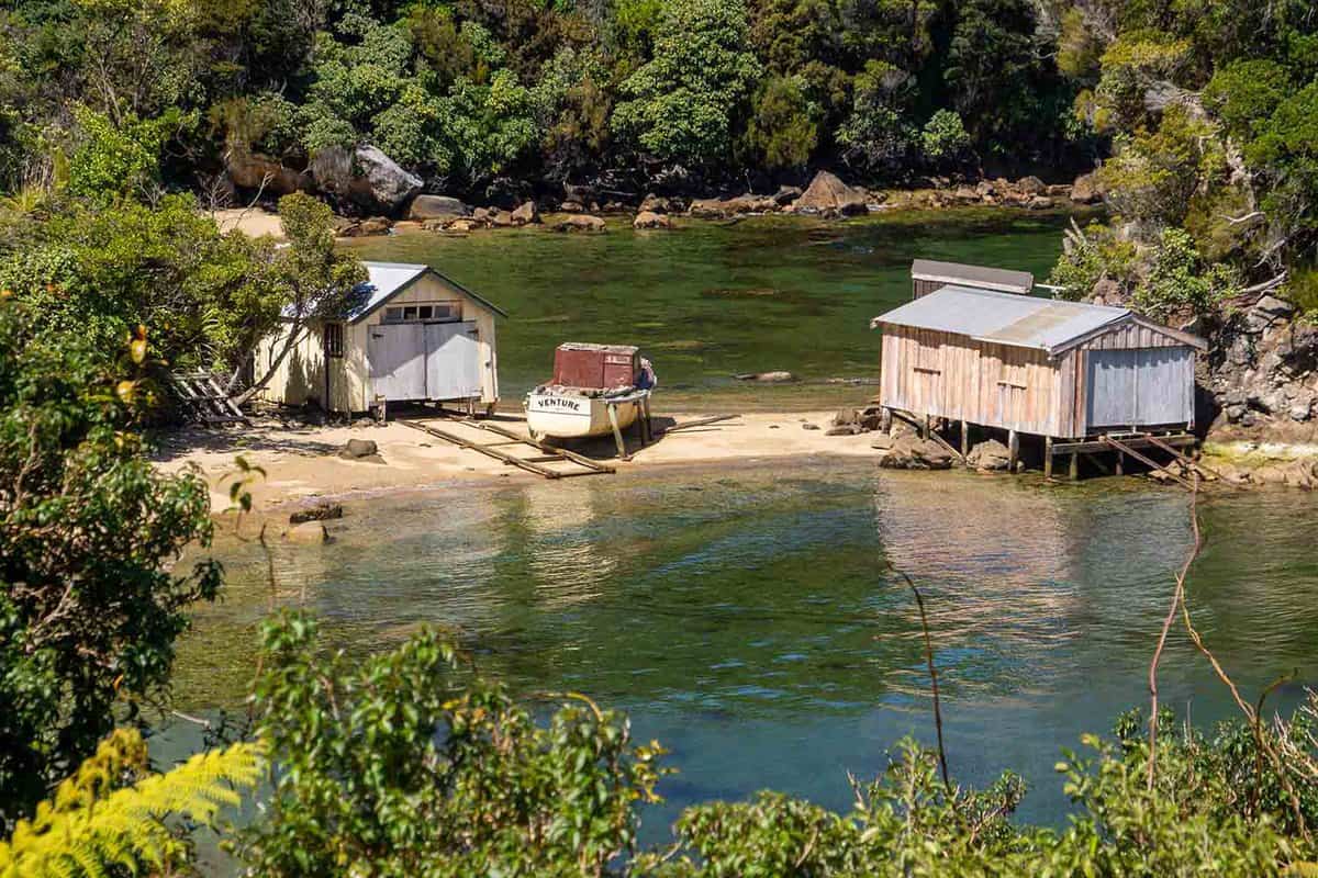 Old boatsheds on the sandy beach and the calm water of beautiful Golden Bay with surrounding bush. Stewart Island