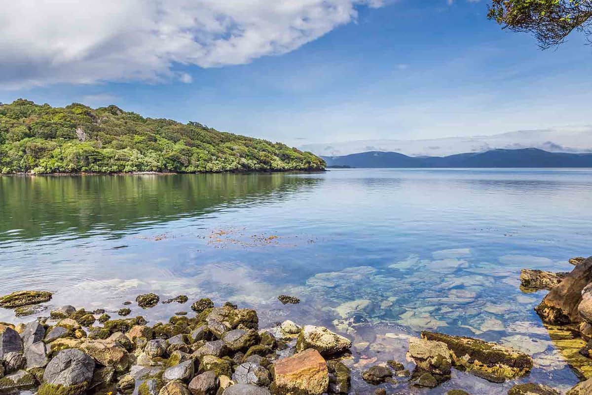 View across Halfmoon Bay, Stewart Island, Southland Region, South Island, New Zealand