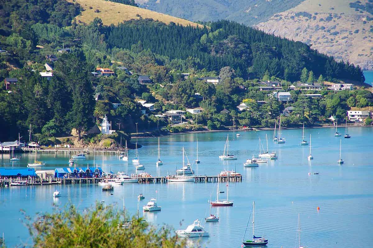 New Zealand's South Island | Expert destination guide