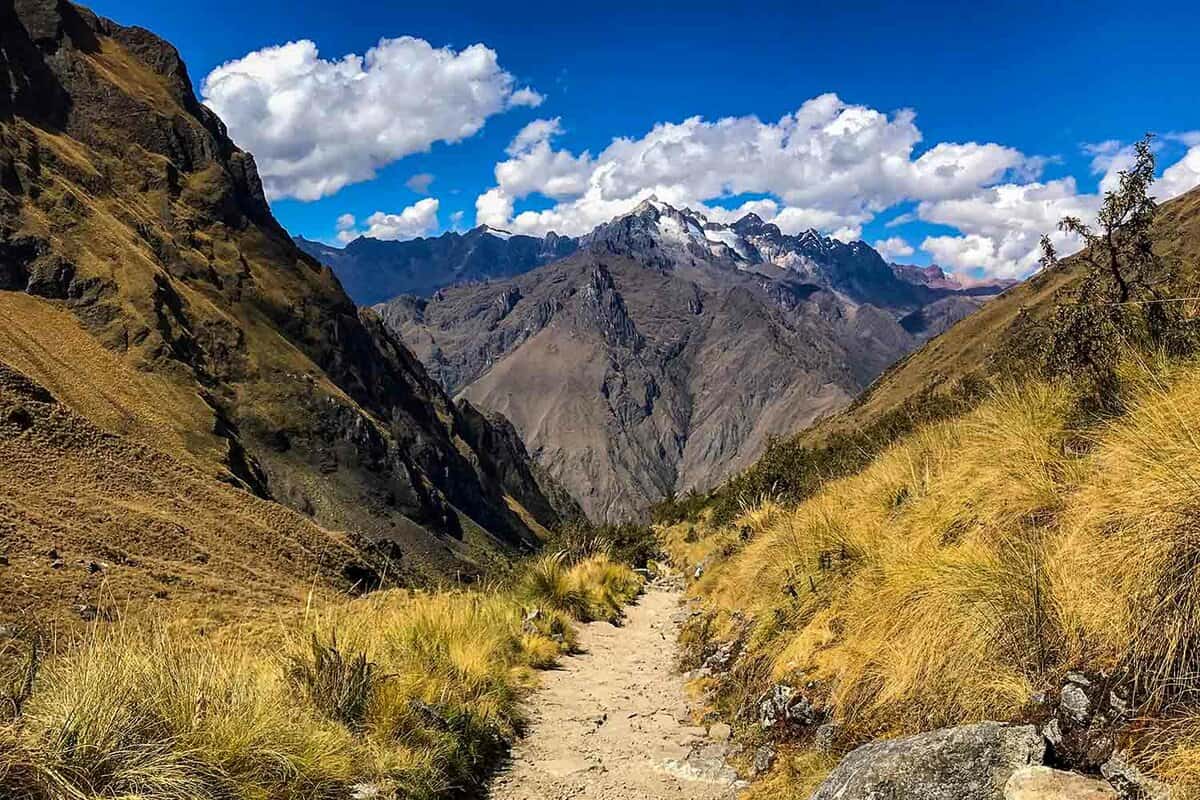 A path through brown grasses up towards a mountain
