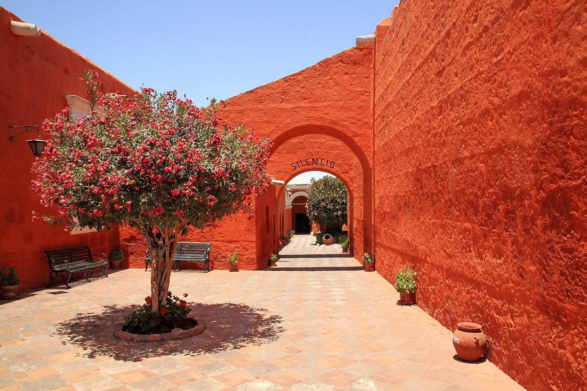 A fruit tree stands inside the red painted walls of the monastery