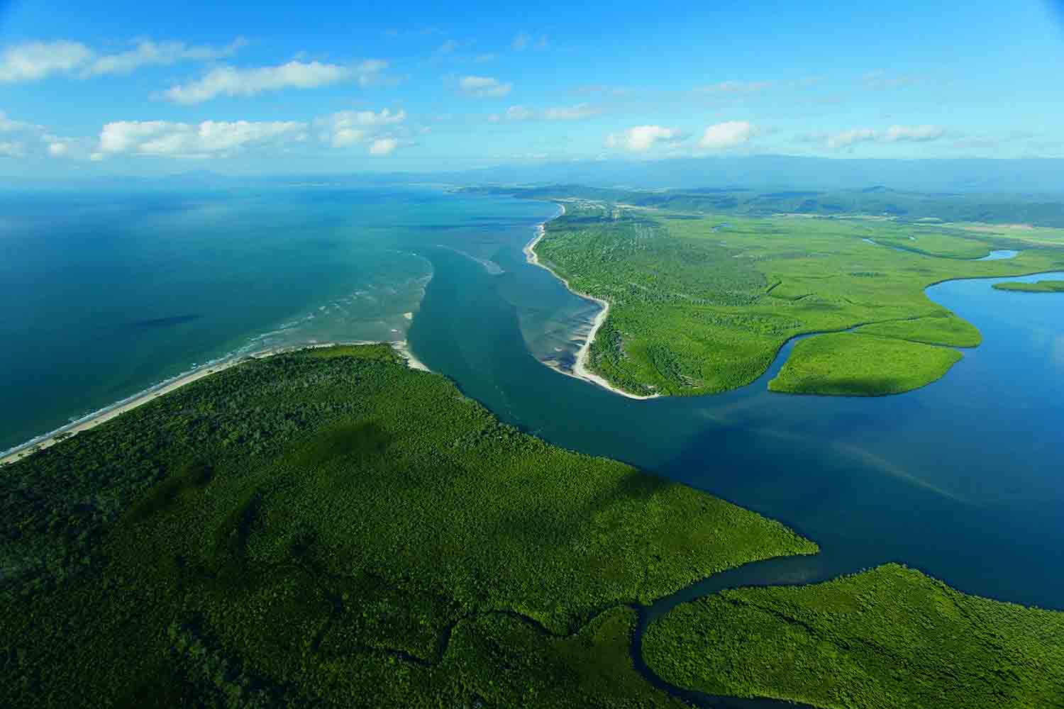 Aerial view of the Daintree river cutting through rainforest