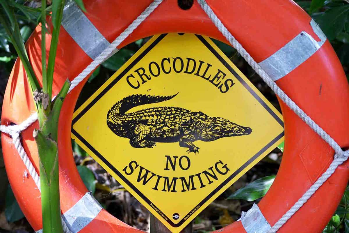 Crocodiles no swimming sign