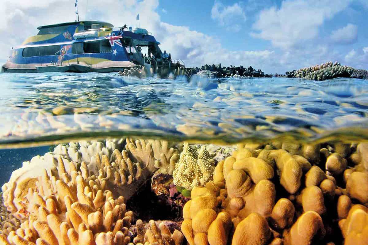 View from the water of coral below surface, boat above