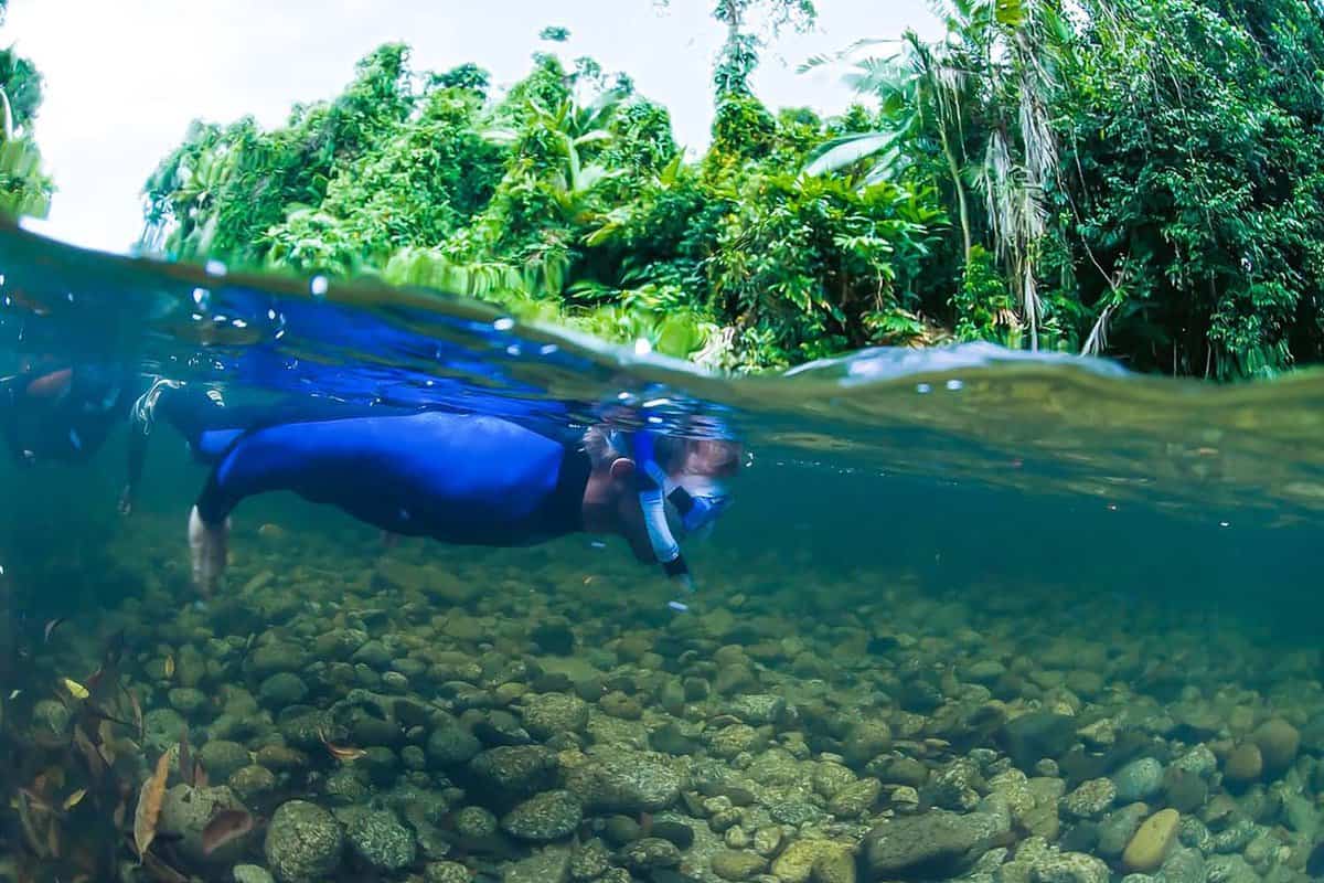 Close up of a tourist snorkelling in the shallows of the Mossman River