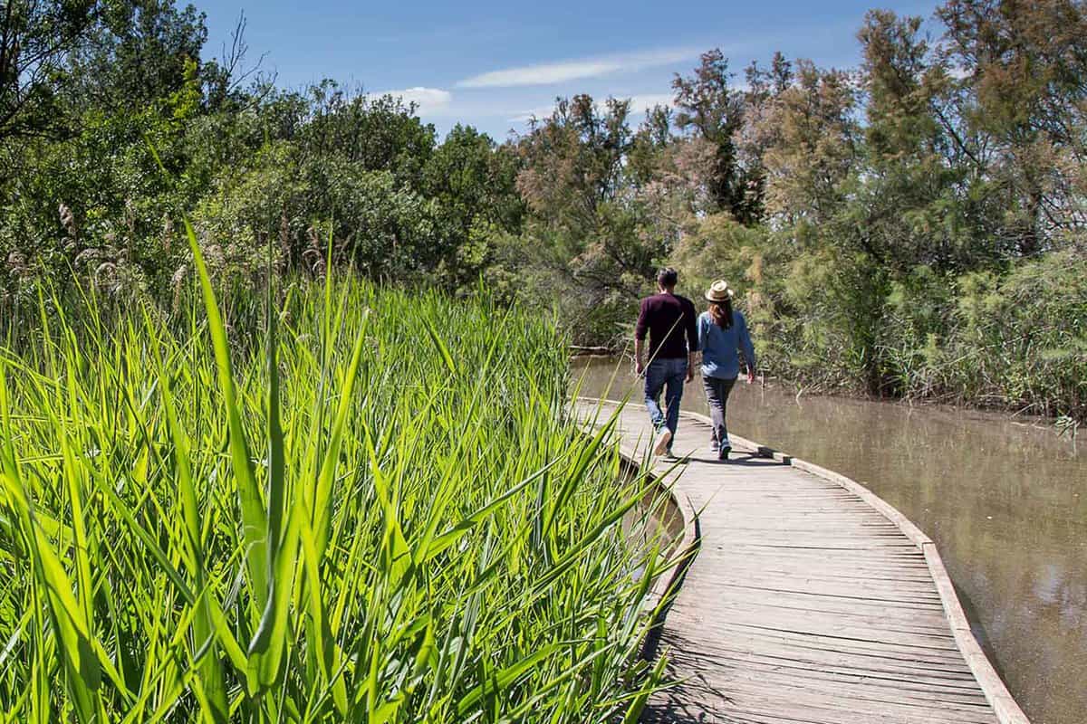Two people walk along a boardwalk through the river delta