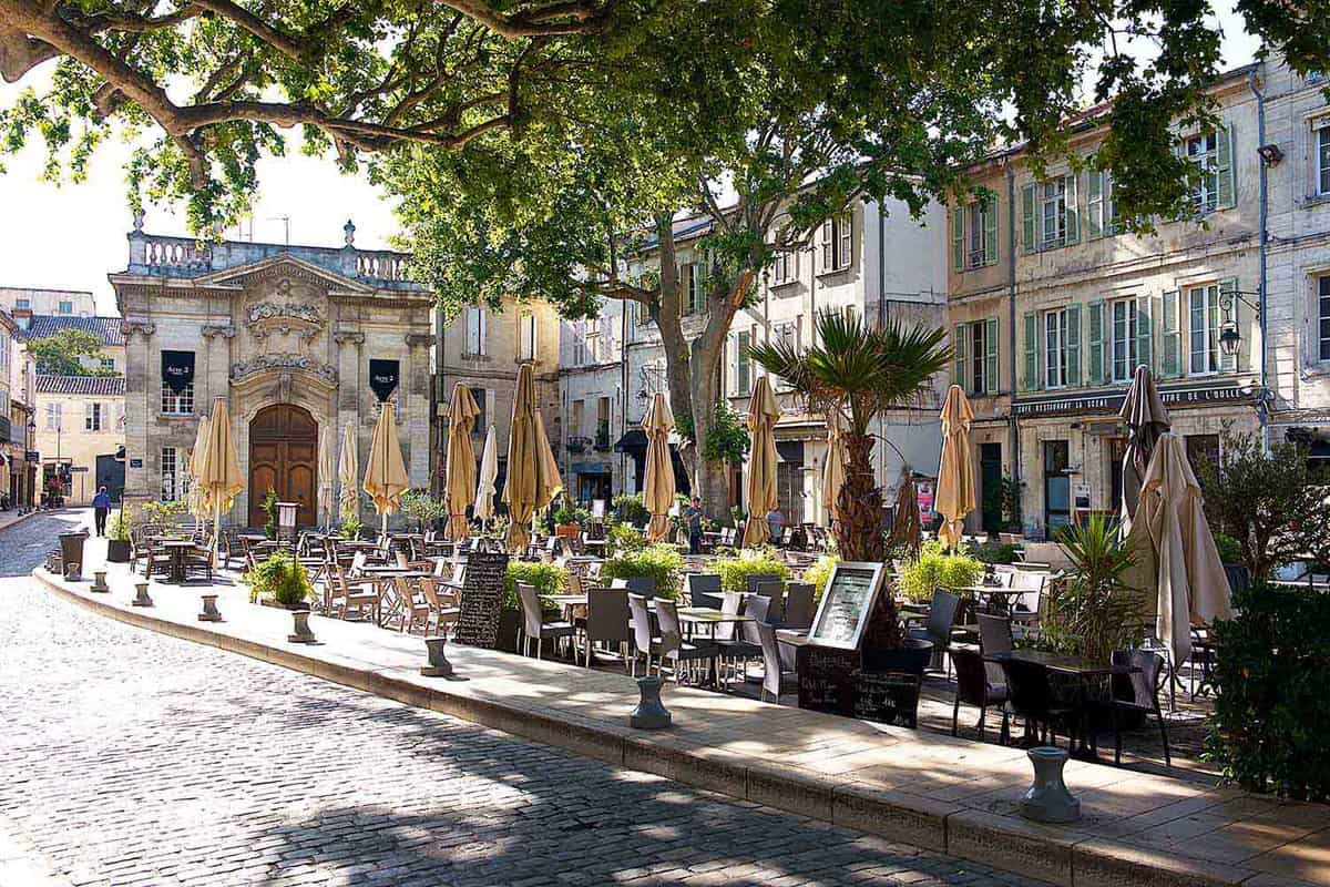A cobblestone street shaded by trees in Avignon