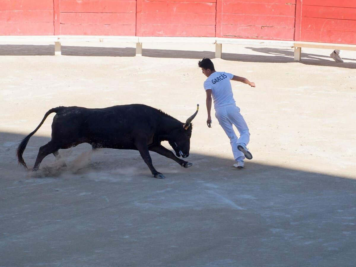 man dodging away from a bull in the arena