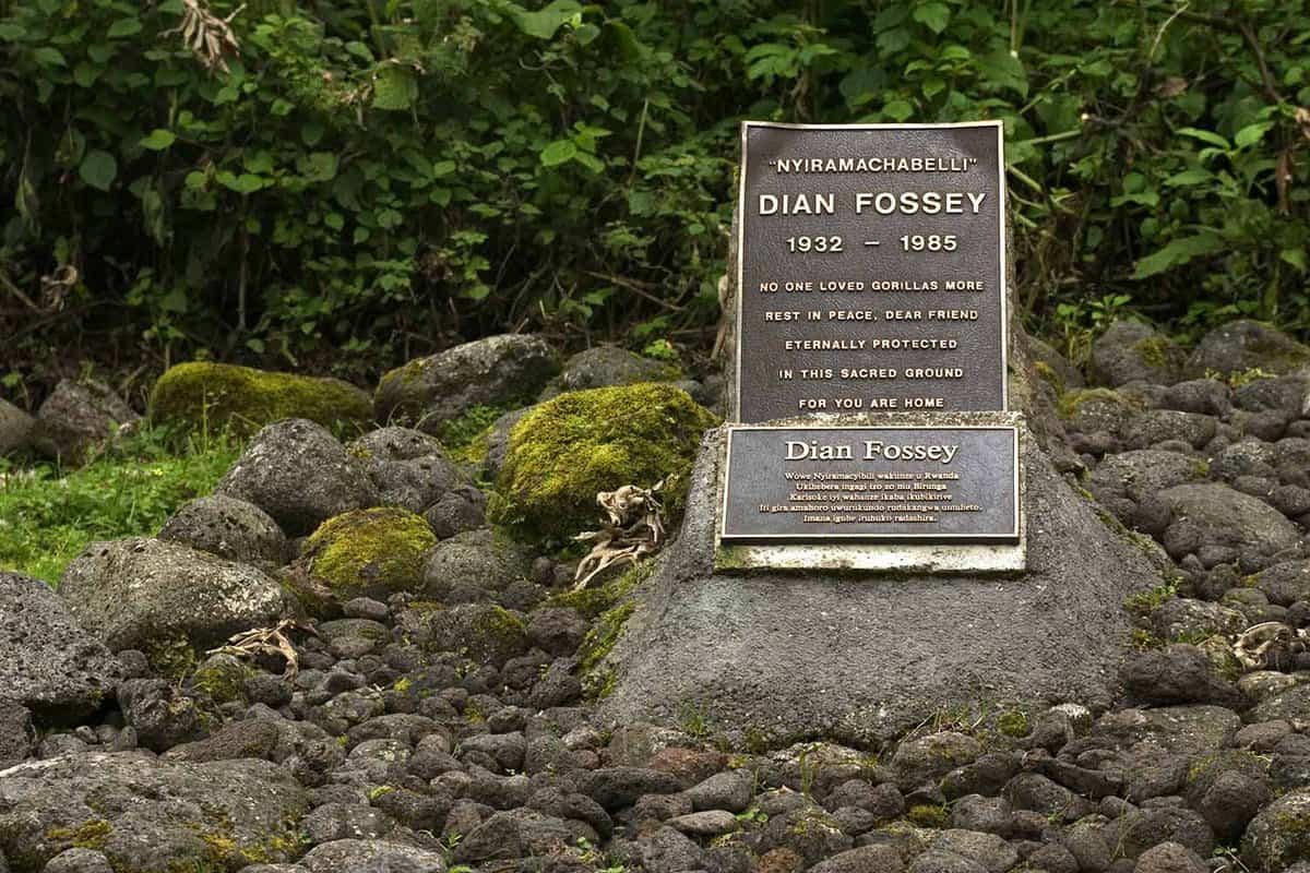 Grave stone of Dian Fossey