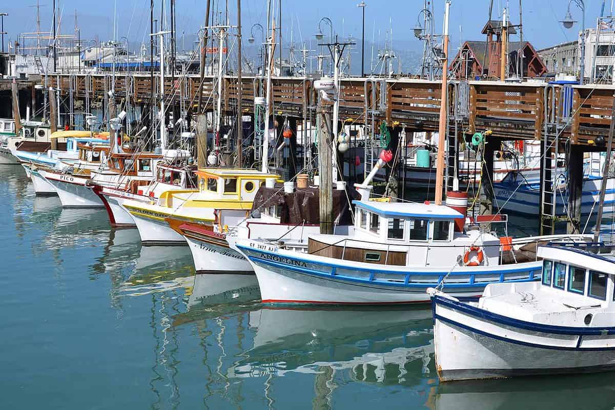 boats at Fisherman's Wharf, San Francisco, California