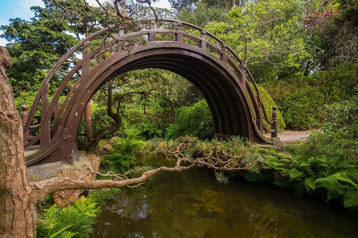 Ornate wooden bridge in the Japanese Tea Garden, san francisco