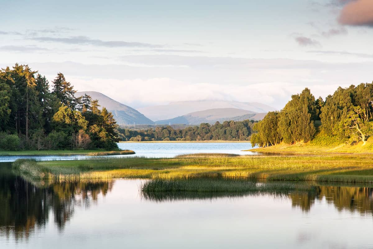Landscape view of a loch surrounded by trees