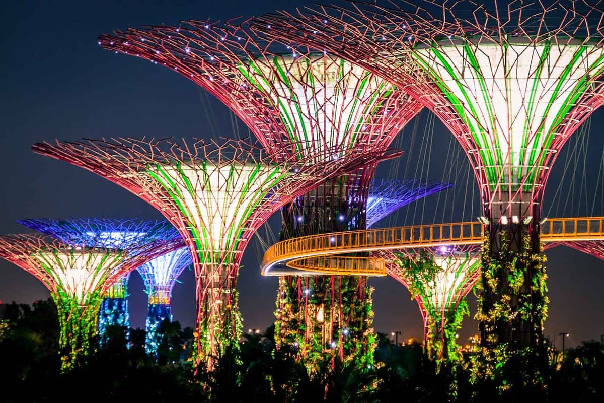 Gardens by the Bay 'Supertrees' lit up at night in Singapore City