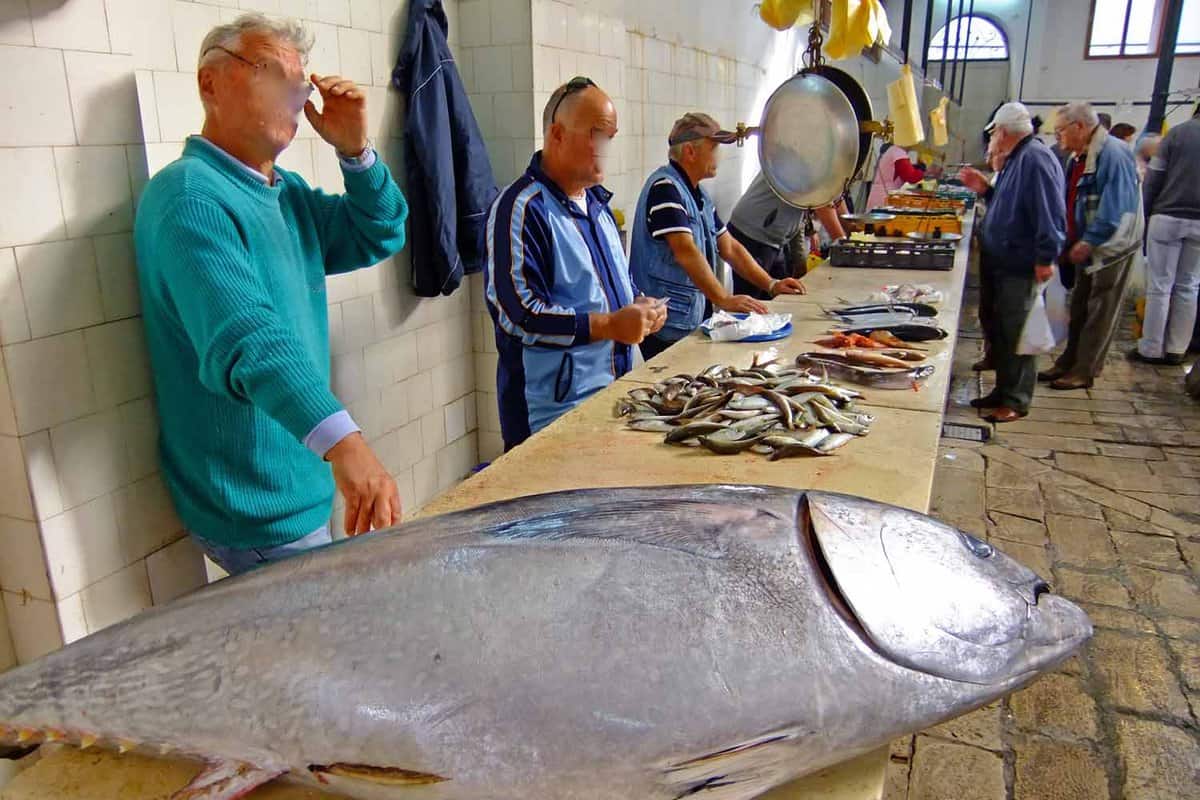 Split’s Fish Market