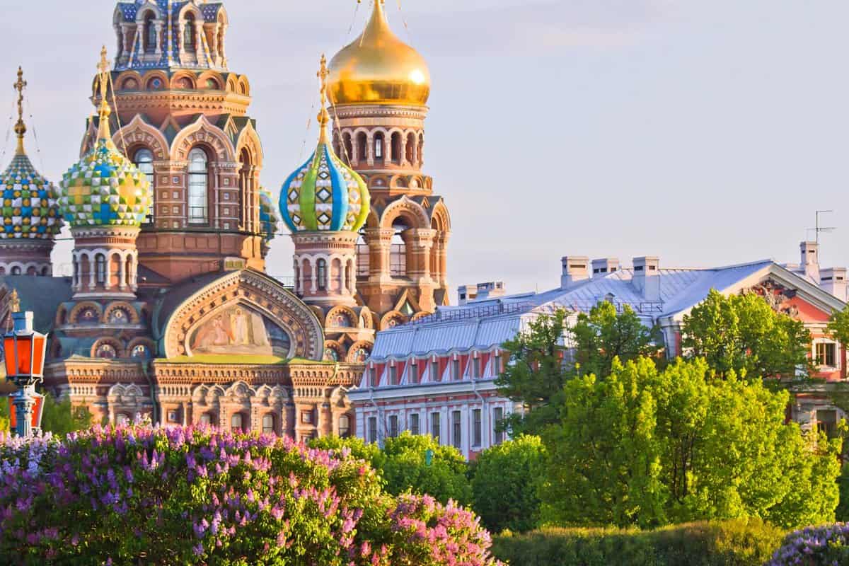 Colourful domes of cathedral behind trees