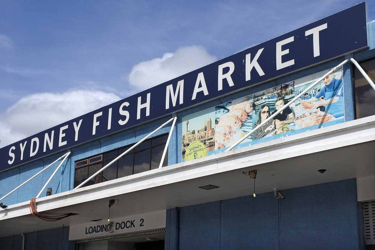 A sign reading Sydney Fish Market. The entrance to the market on a sunny day.