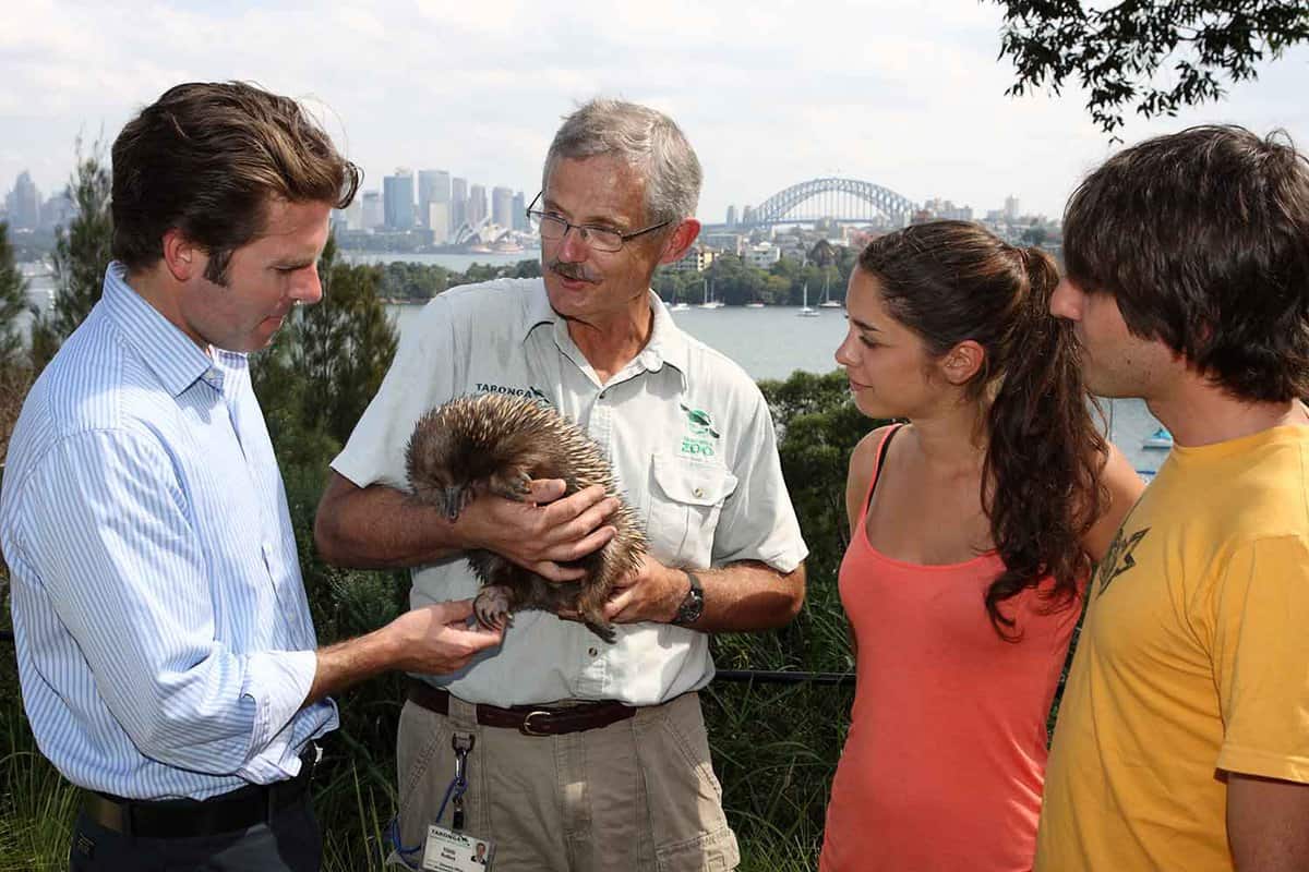 A man holding a small furry animal with three other people looking.