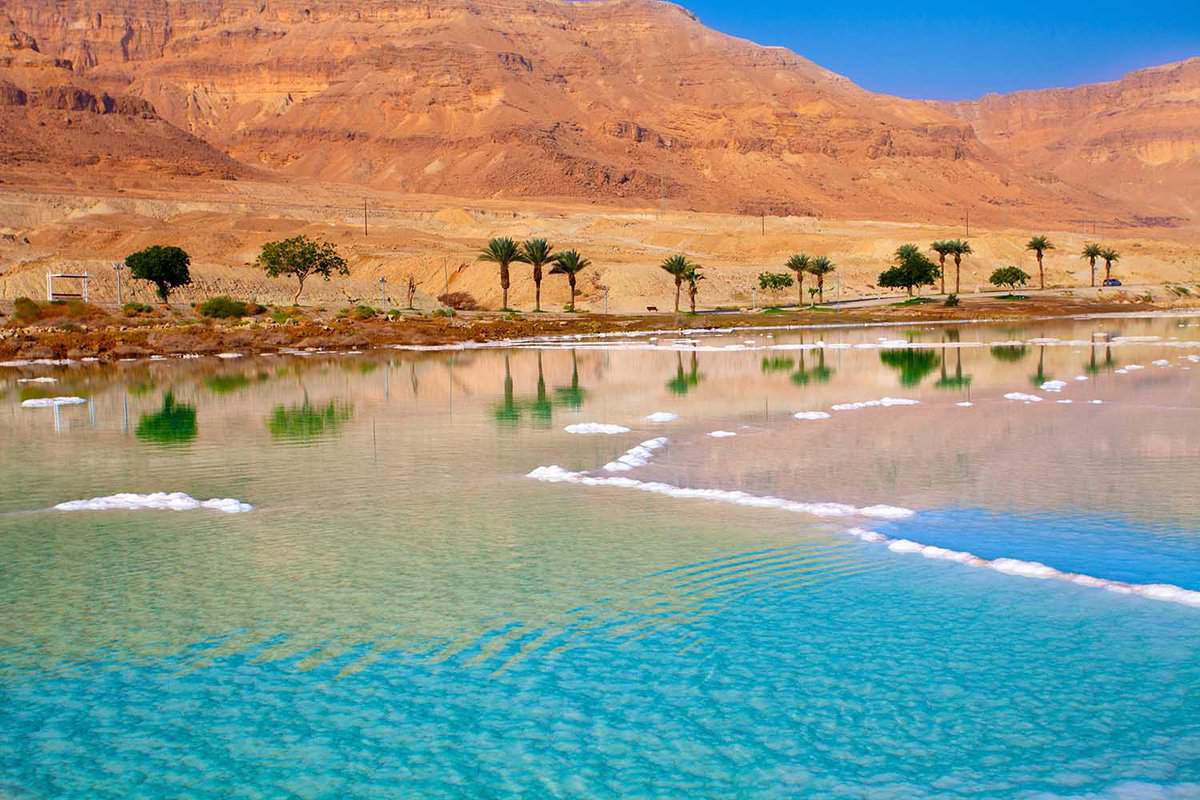 Dead Sea seashore with palm trees and mountains on background