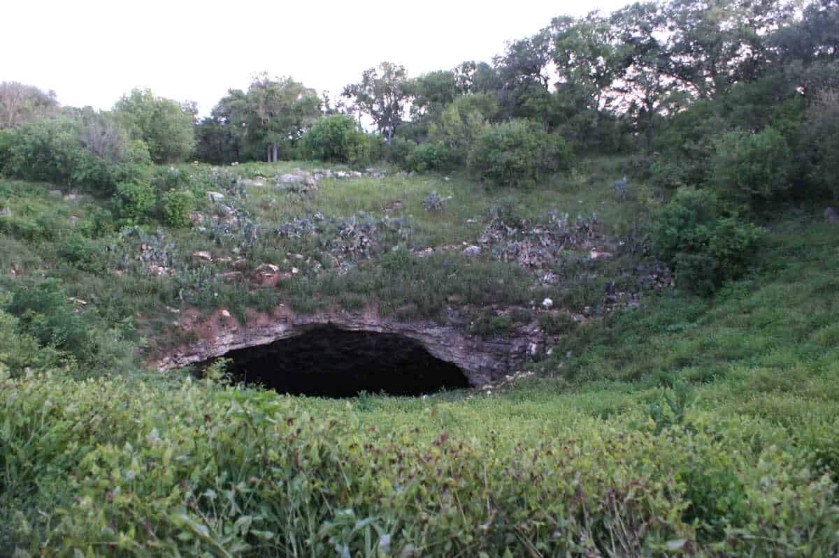 Exterior of Bracken Cave - a cave mouth sunk into the earth