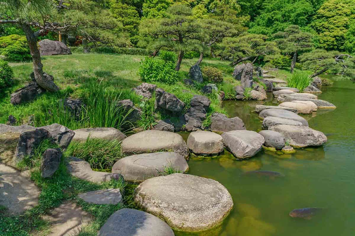 japanese landscape - kiyosumi teien - koto - tokyo