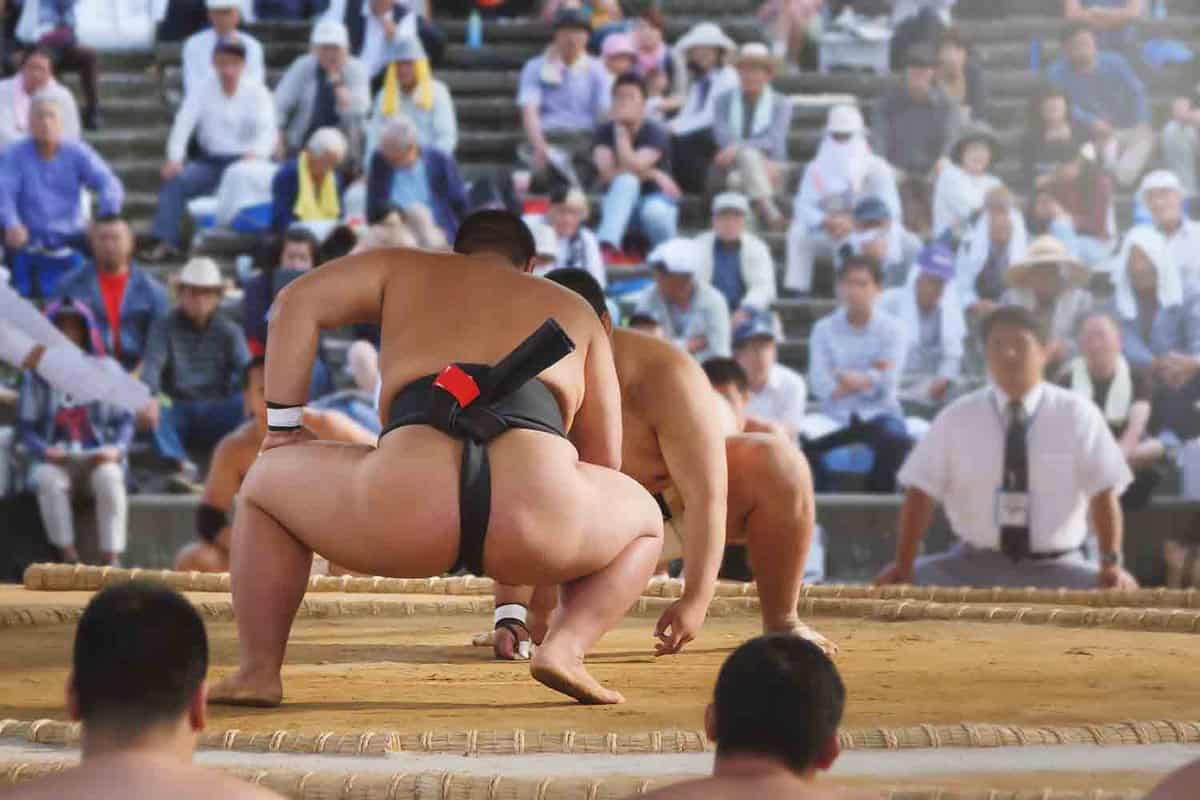Close-up of two sumo wrestlers ready to engage in the Tokyo Grand Sumo Tournament from behind one of them