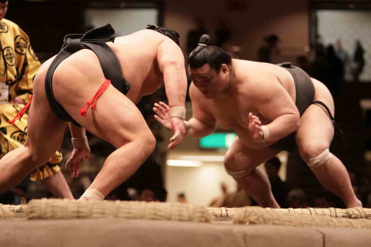 Close-up of two sumo wrestlers ready to engage in the Tokyo Grand Sumo Tournament