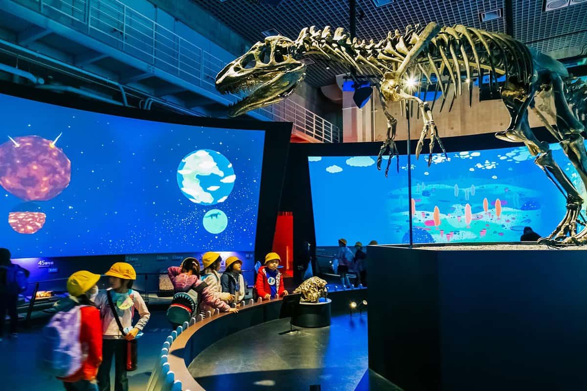 National Museum of Nature and Science offers a wide variety of natural history exhibitions and interactive scientific experiences