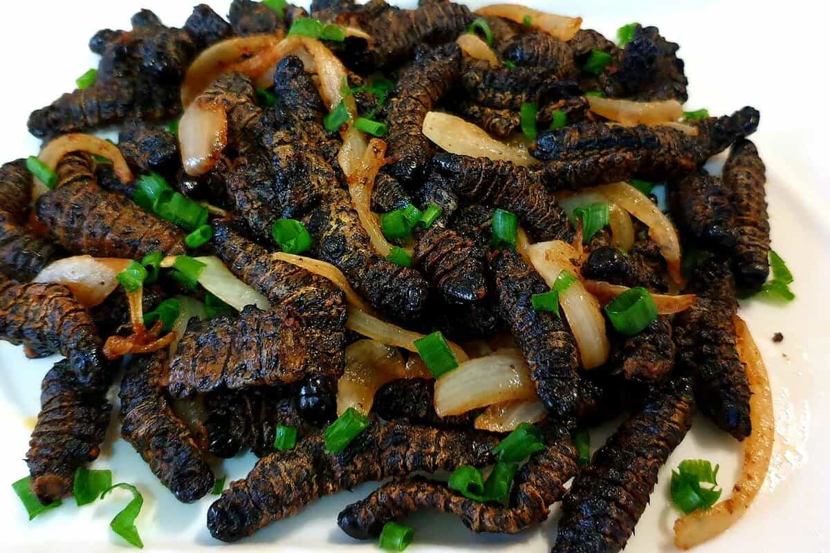 Close up of a dish filled with black worms and onions