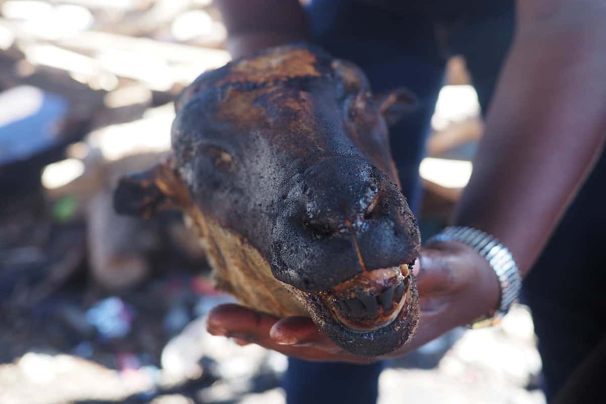Traditional african sheep's head, cooked on flames, known as a "smiley".