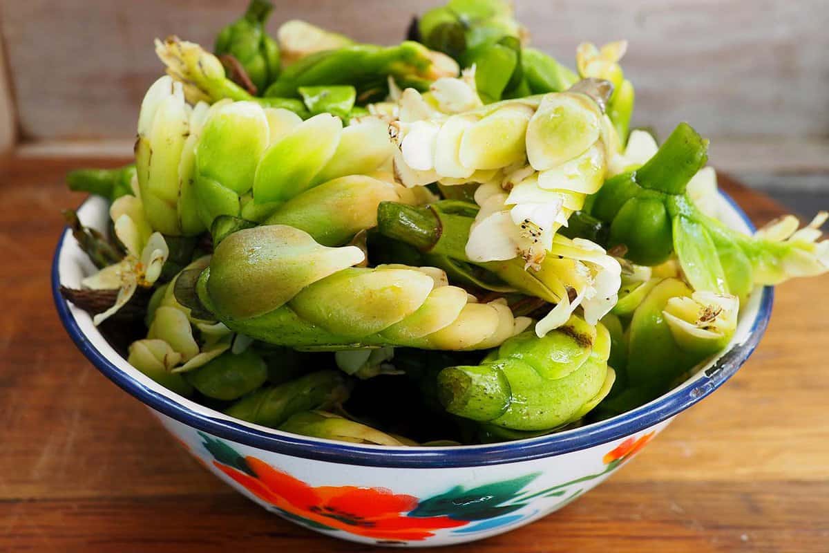 Bowl of Cape Asparagus, Waterblommetjies, a delicacy from South Africa