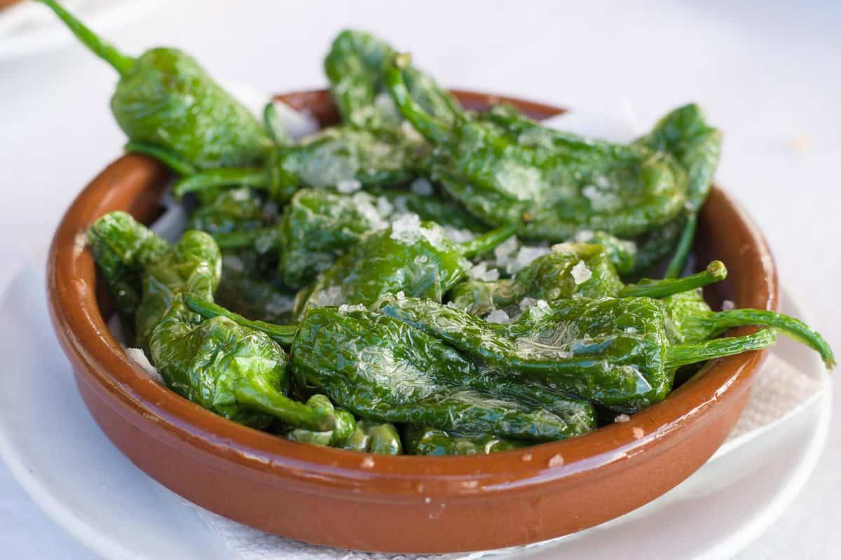 Fried green peppers Padron with olive oil and sea salt. Traditional Spanish tapas.